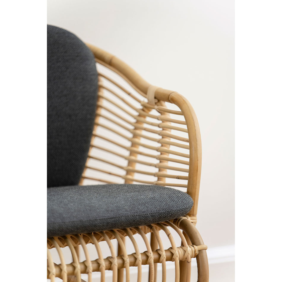Swing Lounge Chair